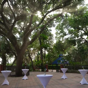 Hilton Garden Tampa East Brandon Mango